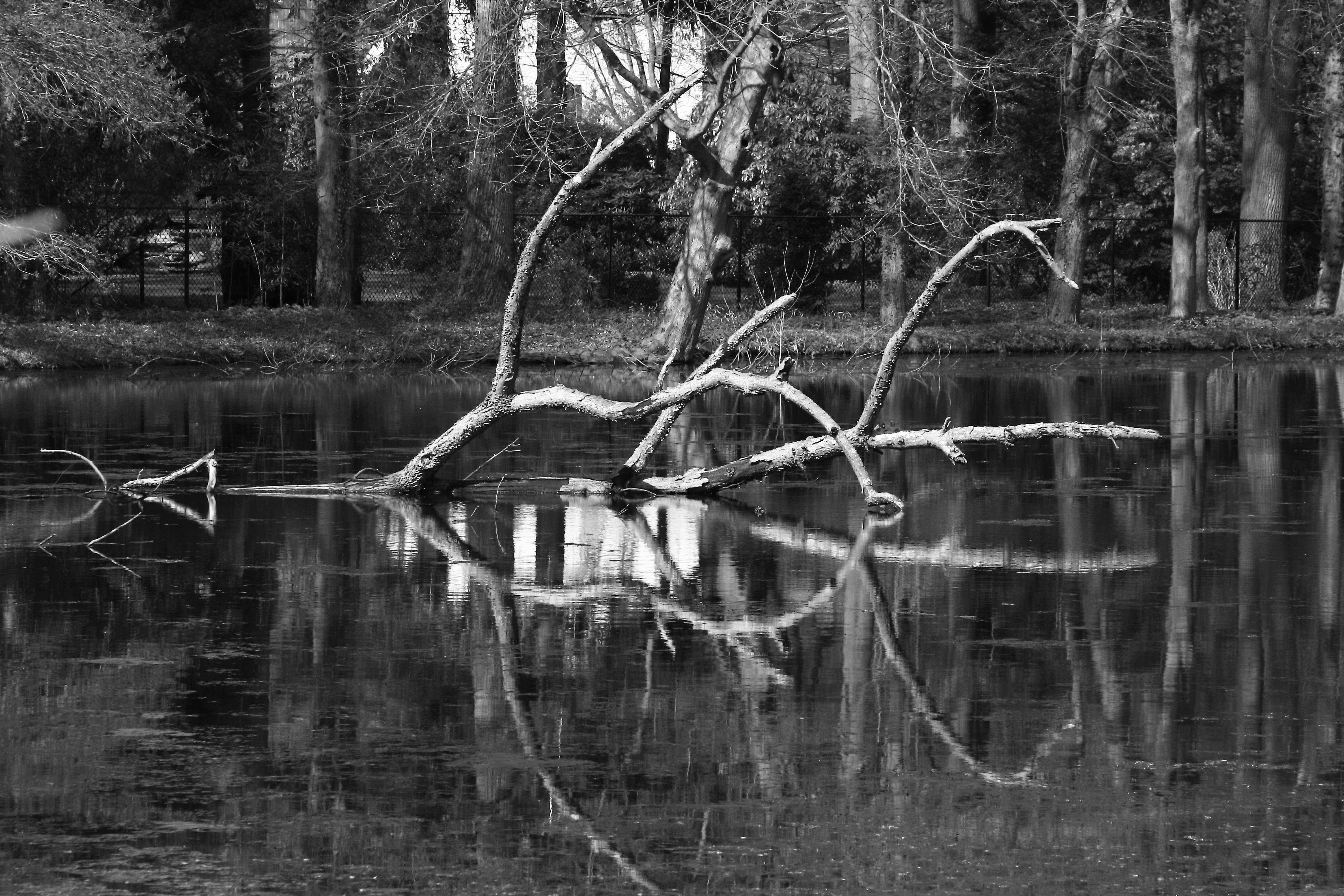 2011 04 25 IMG 28526ebw